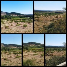 San Javier Región del Maule. Fundo 750 Ha.