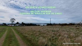 En venta 25 hectáreas a orilla de camino, con casa, en el sector de Quenuir, Maullin sur de Chile