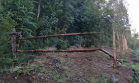 Agricola en Venta en  Quemchi, Chiloe