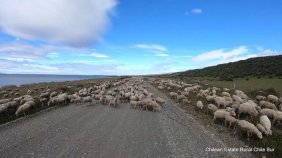 Agricola en Venta en Bahía San Felipe Primavera, Tierra del Fuego