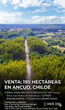 Oportunidad Estratégica en Chiloé: 195 Ha con Alto Potencial Eólico, Turístico y Forestal