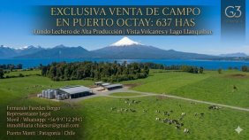 Agricola en Venta en  Puerto Octay, Osorno