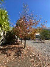 OPORTUNIDAD ÚNICA! TATIANA SAAVEDRA PROPIEDADES VENDE INCREÍBLE CASA EN HACIENDA RINCONADA LOS ANDES
