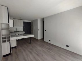 Departamento en Arriendo en Santa Lucía Santiago, Santiago