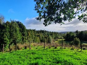 Parcela en Venta en Cogomó Castro, Chiloe