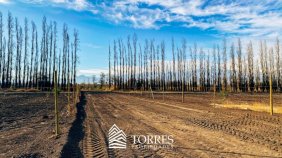 Parcela en Venta en  Rinconada, Los Andes