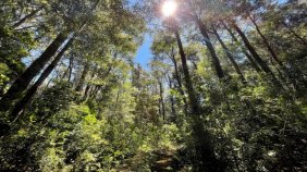 Parcela en Venta en PAILLACO Valdivia, Valdivia