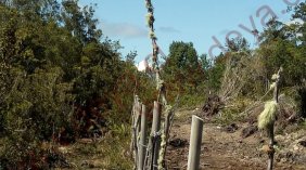 Parcela en Venta en  Puerto Montt, Llanquihue