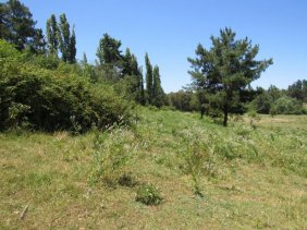 Parcela en Venta en  Colbún, Linares