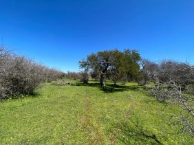 Parcela en Venta en Cauquenes Maule, Talca
