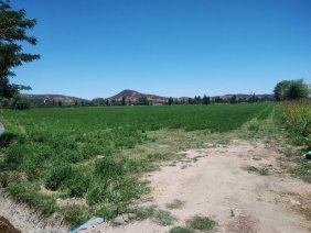 Parcela en Venta en Las Pataguas Pichidegua, Cachapoal