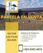 Hermosa Parcela de 10.000m2 en Bulnes Sector Los Tilos San Nicolás