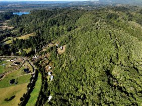 Parcela en comuna de Castro - Chiloé con rol propio y factibilidad de luz/agua