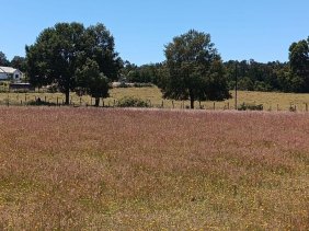 Parcela en Venta en  Villarrica, Cautin