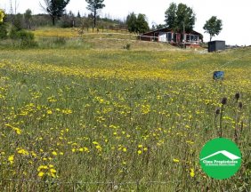 Parcela con Casa en Quillón con Quincho, Piscina y Vista