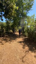 Terreno en Venta en Precorillera Longavi Precordillera Longavi, Linares