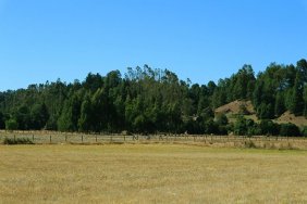 Terreno en Venta en  Los Lagos, Valdivia