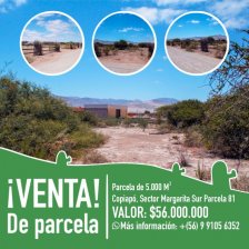 Venta de parcela, parcela 5.000 m², Copiapó, Sector Margarita Sur Parcela 81, VALOR: $56.000.000