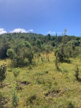 Foto Terreno en Venta en San Antonio, Quellón, Chiloe - $ 90.000.000 - TEV154395 - BienesOnLine
