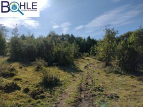 CAMPO 82,43 HÁ EN PARGUA