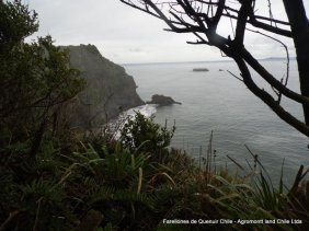 Vendo campo turistico,  23 hectáreas con gran vista al Océano Pacifico, Quenuir Maullin sur de Chile
