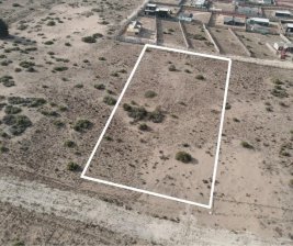 Tu Próximo Proyecto, Campiche