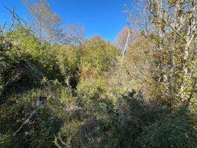 Terreno en Venta en El Maitenal San Fabián, Ñuble