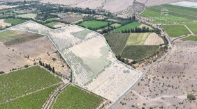 PUTAENDO - VENTA TERRENO AGRÍCOLA DE 16,5 HE