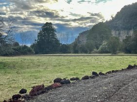 Terreno en Venta en  Lago Ranco, Valdivia