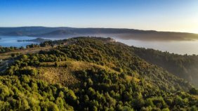 Parcela en Venta en  Valdivia, Valdivia