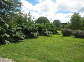 Foto Agricola en Venta en Panguipulli, Panguipulli, Valdivia - UFs 50.000 - AGV18020 - BienesOnLine
