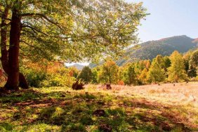 Parcela en Venta en  Curarrehue, Cautin