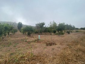 Terreno en Venta en  Nogales, Quillota