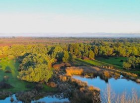 Parcela en Venta en Camarico San Rafael, Talca