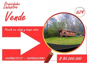 624- Se vende parcela con caba?a y bosque nativo  