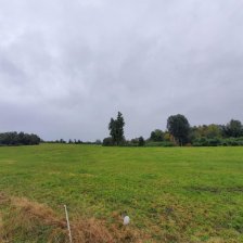 Agricola en Venta en  Río Bueno, Valdivia