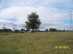 Terreno en Arriendo en Sector Colonia San Martin Frutillar, Llanquihue