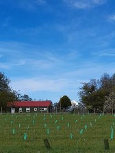 Casa en Arriendo en  Frutillar, Llanquihue