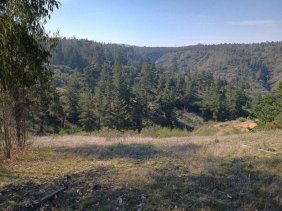 Foto Agricola en Arriendo en Lo Abarca, El Tabo, San Antonio - 34 hectareas - $ 1.500.000 - AGA155661 - BienesOnLine