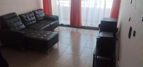 ARRIENDO DEPARTAMENTO AMOBLADO