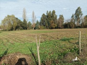 Foto Terreno en Arriendo en Santa Cruz, Colchagua - $ 300.000 - TEA144358 - BienesOnLine