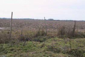 Foto Agricola en Venta en bodegas, Longaví, Linares - 109 hectareas - U$D 1.900.000 - AGV22320 - BienesOnLine