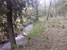 Parcela en Venta en centro sur - Cordillerano Recinto- los LLeuques, Ñuble