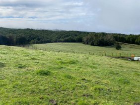 Terreno en Venta en Rural Quechu Alto - Queilen, Chiloe