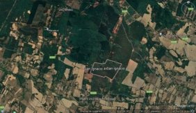 Foto Agricola en Venta en San Ignacio, San Ignacio, Ñuble - 80 hectareas - $ 680.000.000 - AGV140158 - BienesOnLine