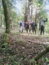 Terreno en Venta en  las juntas, Palena