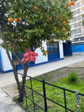 CASA ESQUINA , CENTRO SAN BERNARDO PARA OFICINAS