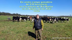 Chilean Estate  Inversiones Rurales y Propiedades Exclusivas en la Patagonia sur de Chile