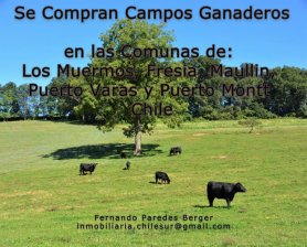 Agricola en Venta en Los Muermos, Fresia, Maullin, Frutillar, Puerto Va Los Muermos, Llanquihue