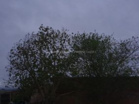 Terreno en Venta en  Nogales, Quillota